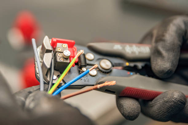 Best Electrical Troubleshooting Services  in East Lake Orient Park, FL