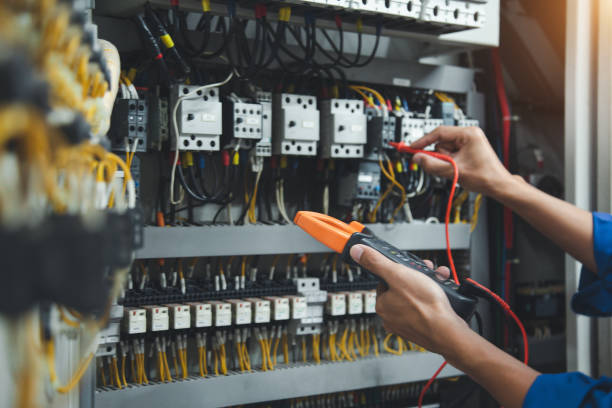 Best Electric Panel Repair  in East Lake Orient Park, FL