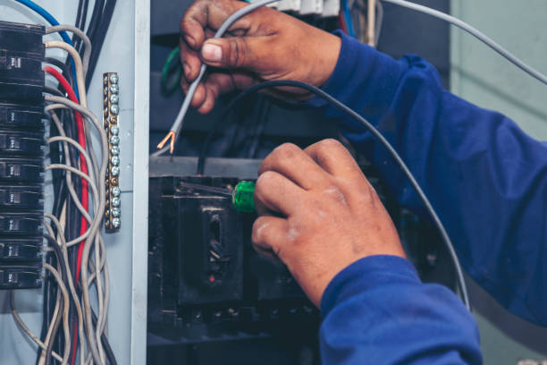 Best Local Electrician Companies  in East Lake Orient Park, FL